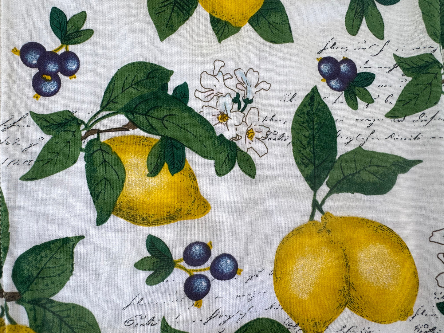 Lemons ~ Decorative Dishrags | 100% Cotton & Terry Cloth | Reusable Kitchen Cleaning Cloths | Set of 4 | 10" x 10"