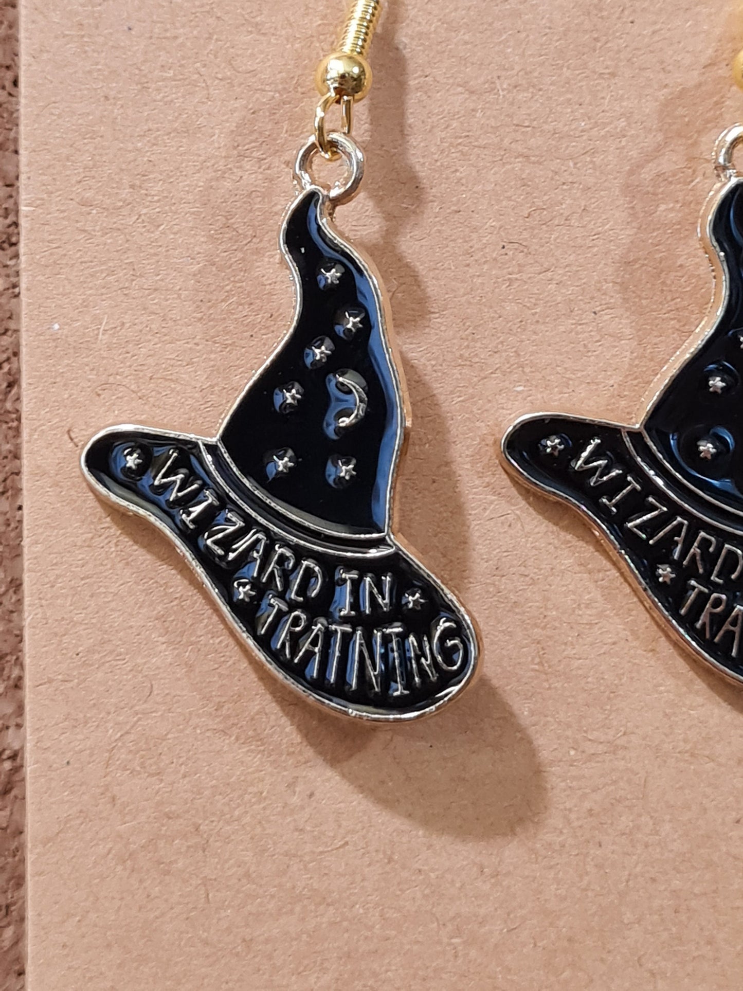 Wizard In Training Earrings ~ Wizard Hat ~ Stainless Fish Hook Posts