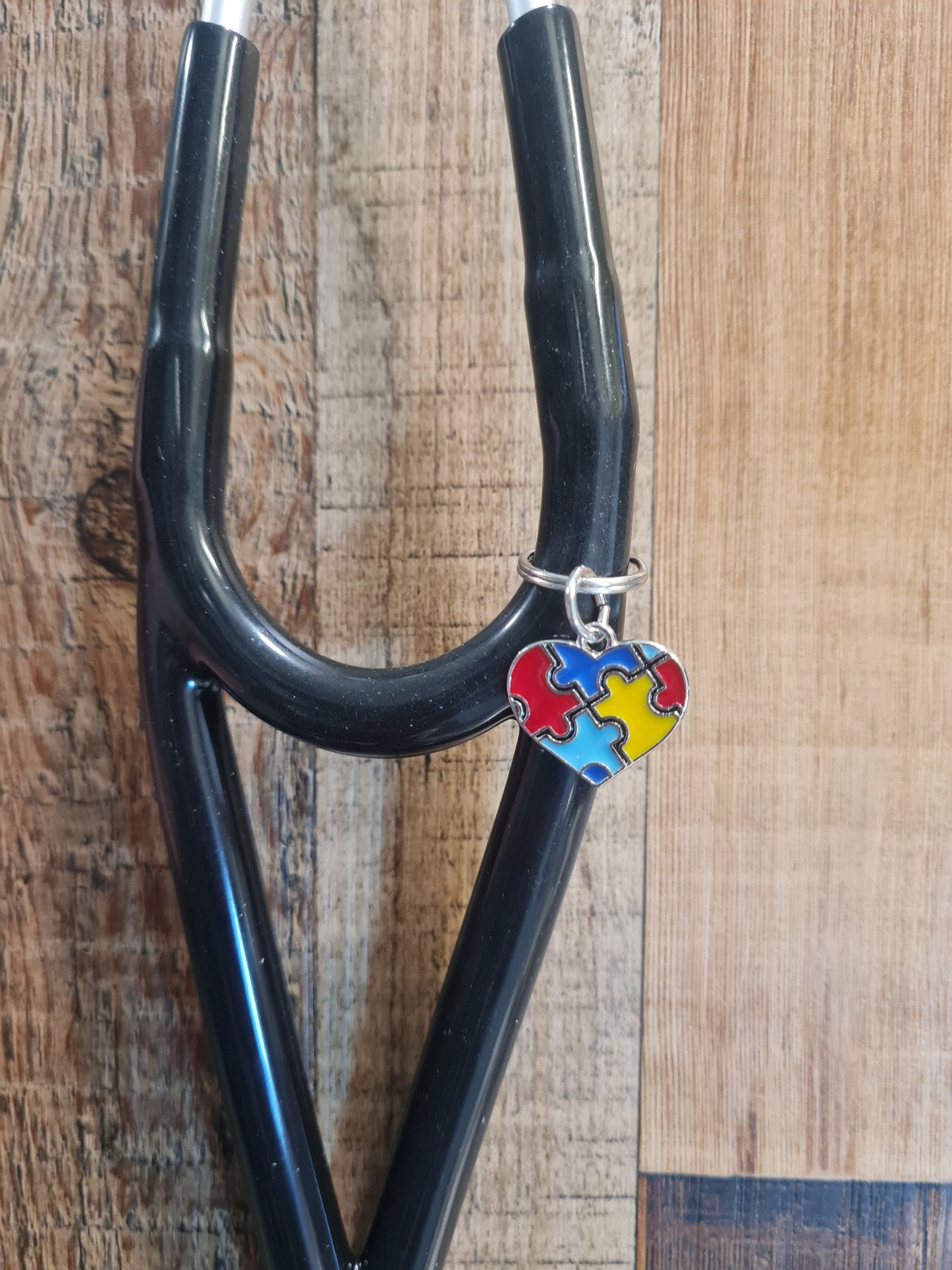 Autism Awareness ~ Stethoscope Charm ~ RN Charm ~ Medical Stethoscope Charm ~ Physician Charm ~ Stethoscope Tag ~ OT ~ PT ~ Austism Charm