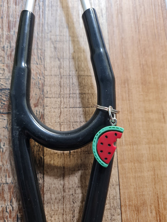 Watermelon ~ Stethoscope Charm ~ RN Charm ~ Medical Stethoscope Charm ~ Physician Charm ~ Stethoscope Tag ~ OT ~ PT ~ Fruit Charm
