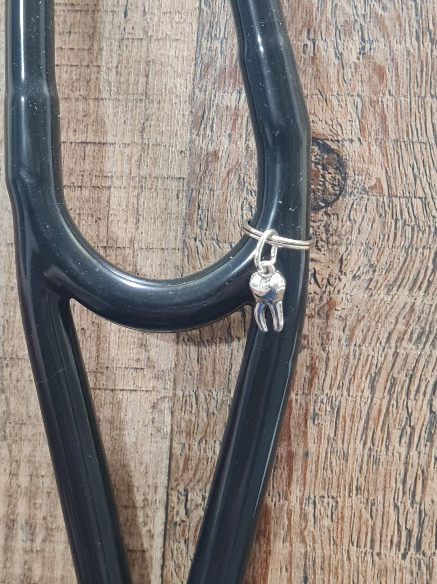 Tooth ~ Stethoscope Charm ~  RN Charm ~ Medical Stethoscope Charm  ~ Physician Charm ~ Stethoscope Tag ~ OT ~ RT ~ Dental Charm