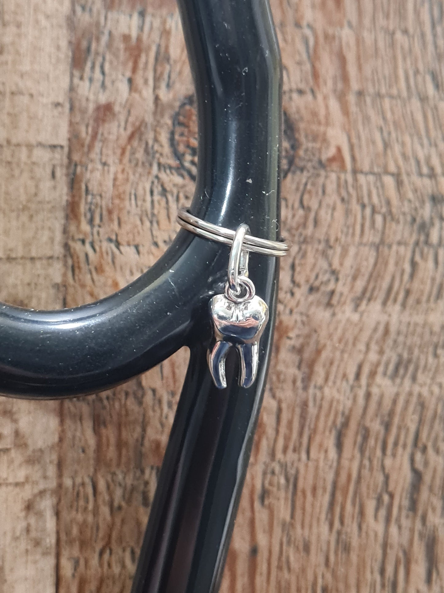 Tooth ~ Stethoscope Charm ~  RN Charm ~ Medical Stethoscope Charm  ~ Physician Charm ~ Stethoscope Tag ~ OT ~ RT ~ Dental Charm