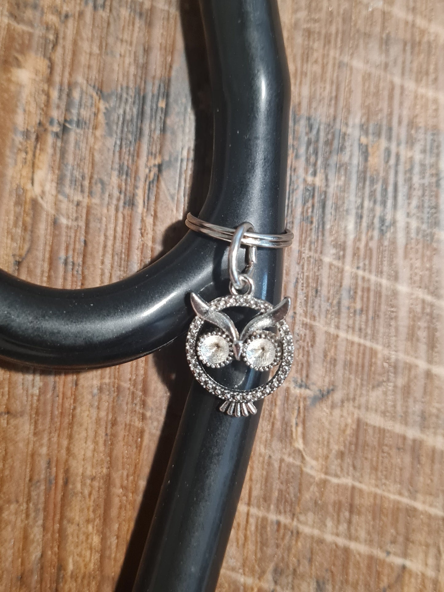 Owl ~ Stethoscope Charm ~ RN Charm ~ Medical Stethoscope Charm ~ Physician Charm ~ Stethoscope Tag ~ OT ~ PT ~ Cute Owl