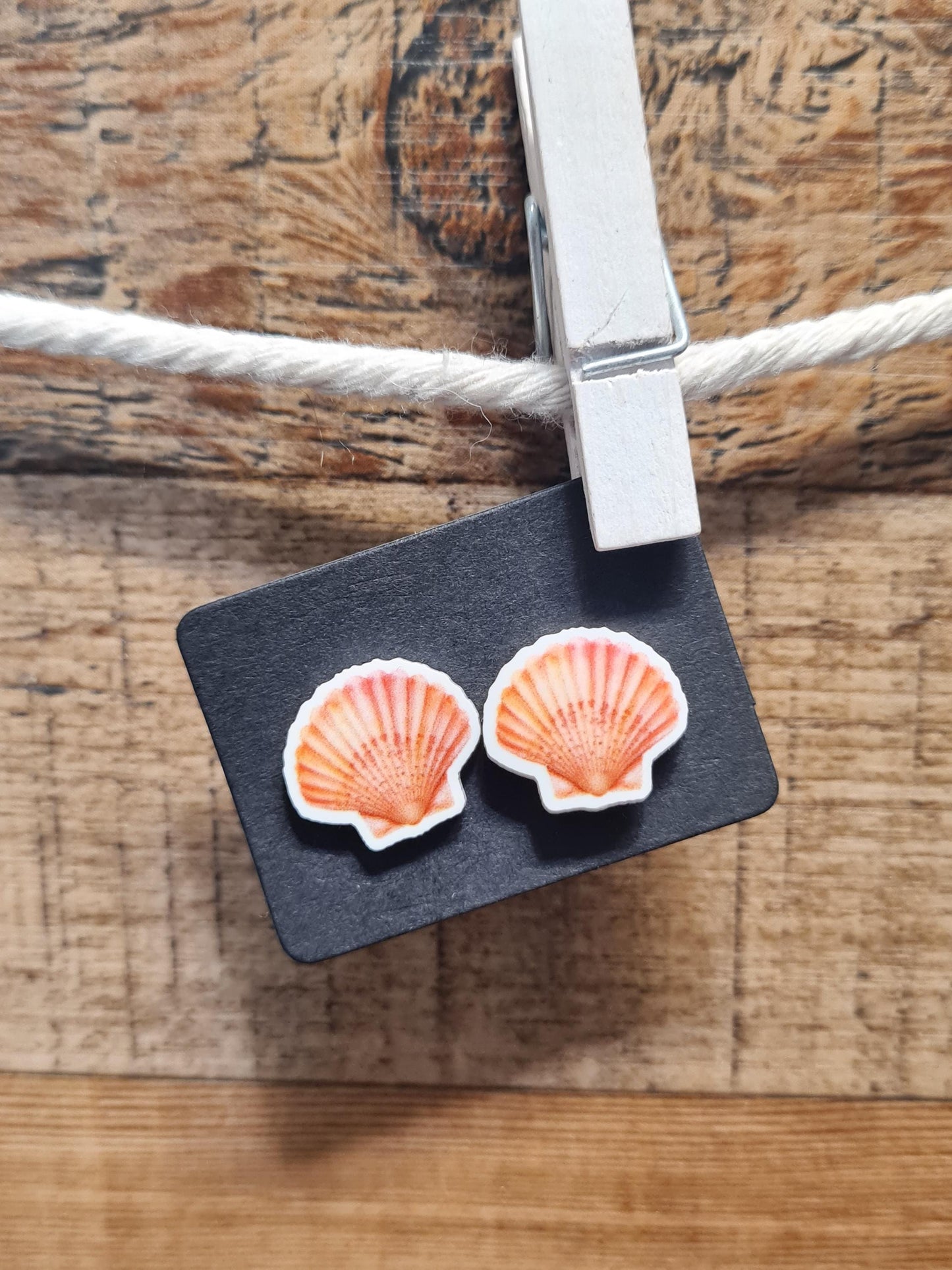 Shell Earrings ~ Beach Theme Earrings ~ Sea Horse Earrings ~ Earrings ~ Summer Earrings ~ Sea Turtle ~ Turtle Earrings ~ Starfish Earrings